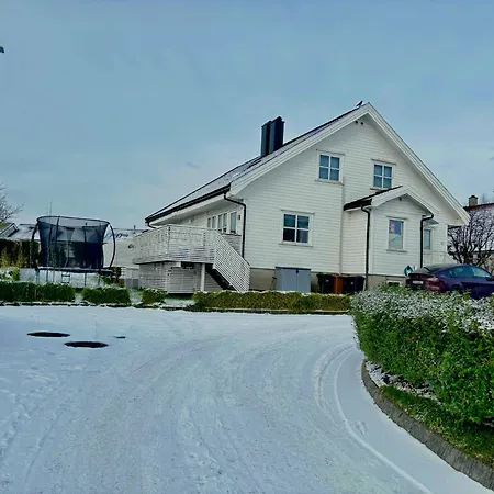 Modern Basement 1bhk Private Entry Apartment