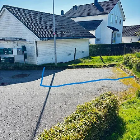 Apartment Modern Basement 1bhk Private Entry *