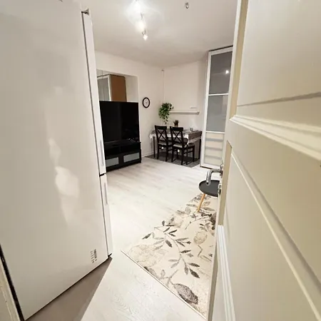Apartment Modern Basement 1bhk Private Entry
